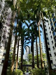 Jurong West Street 62 (Jurong West), HDB 3 Rooms #589427221